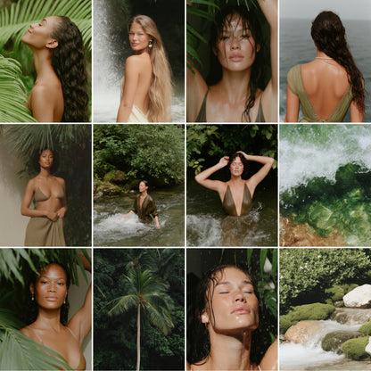 Harmony in Nature