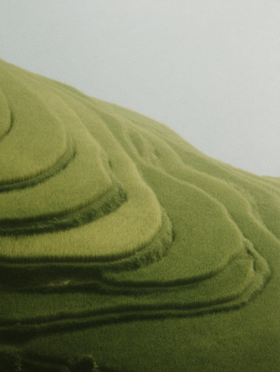 Free stock image