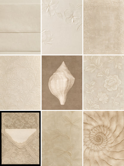 Neutral Studies — Editorial Backgrounds & Textures for Designers