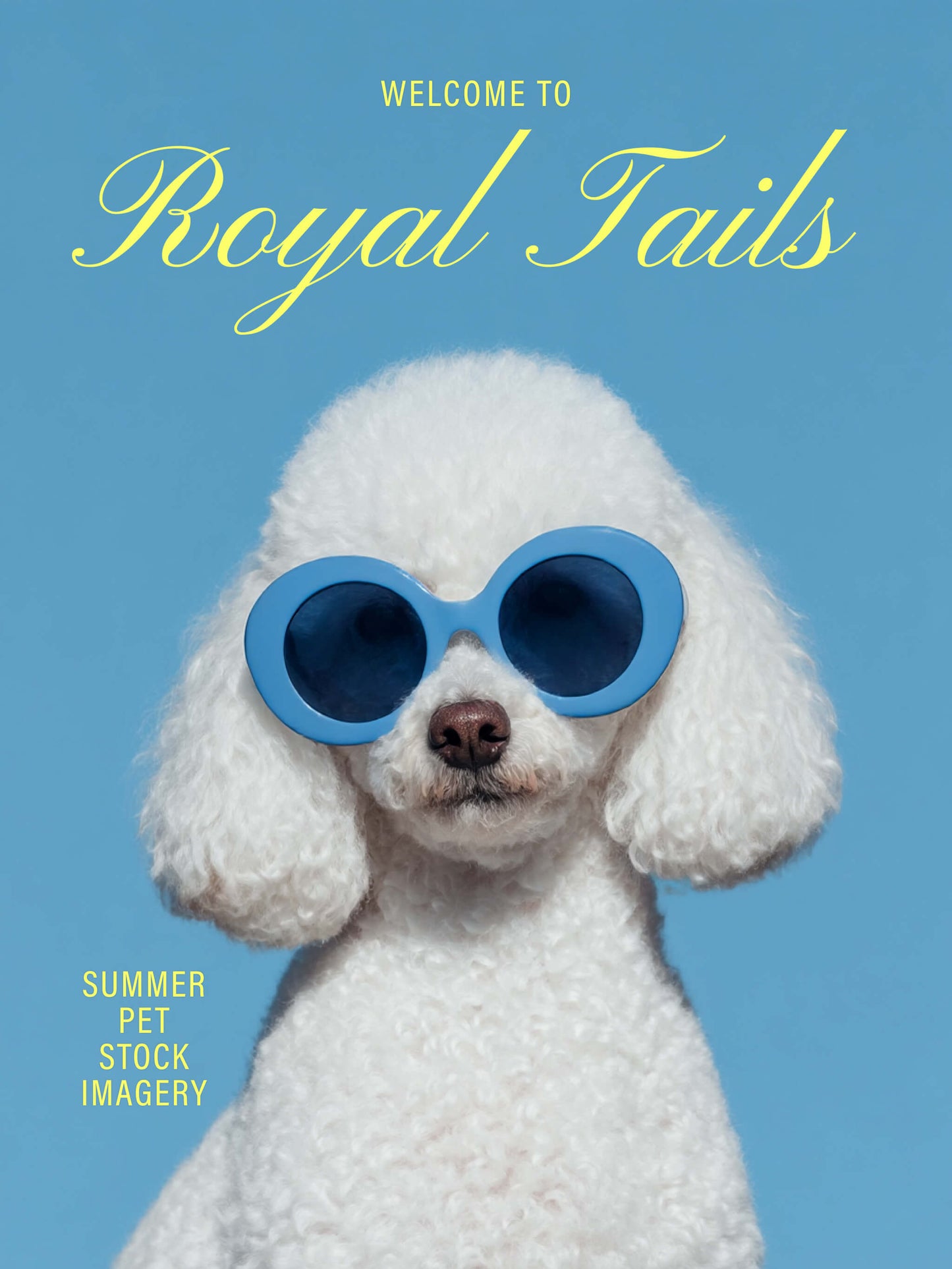 Luxury Dog Summer