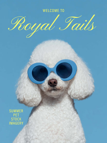 Luxury Dog Summer