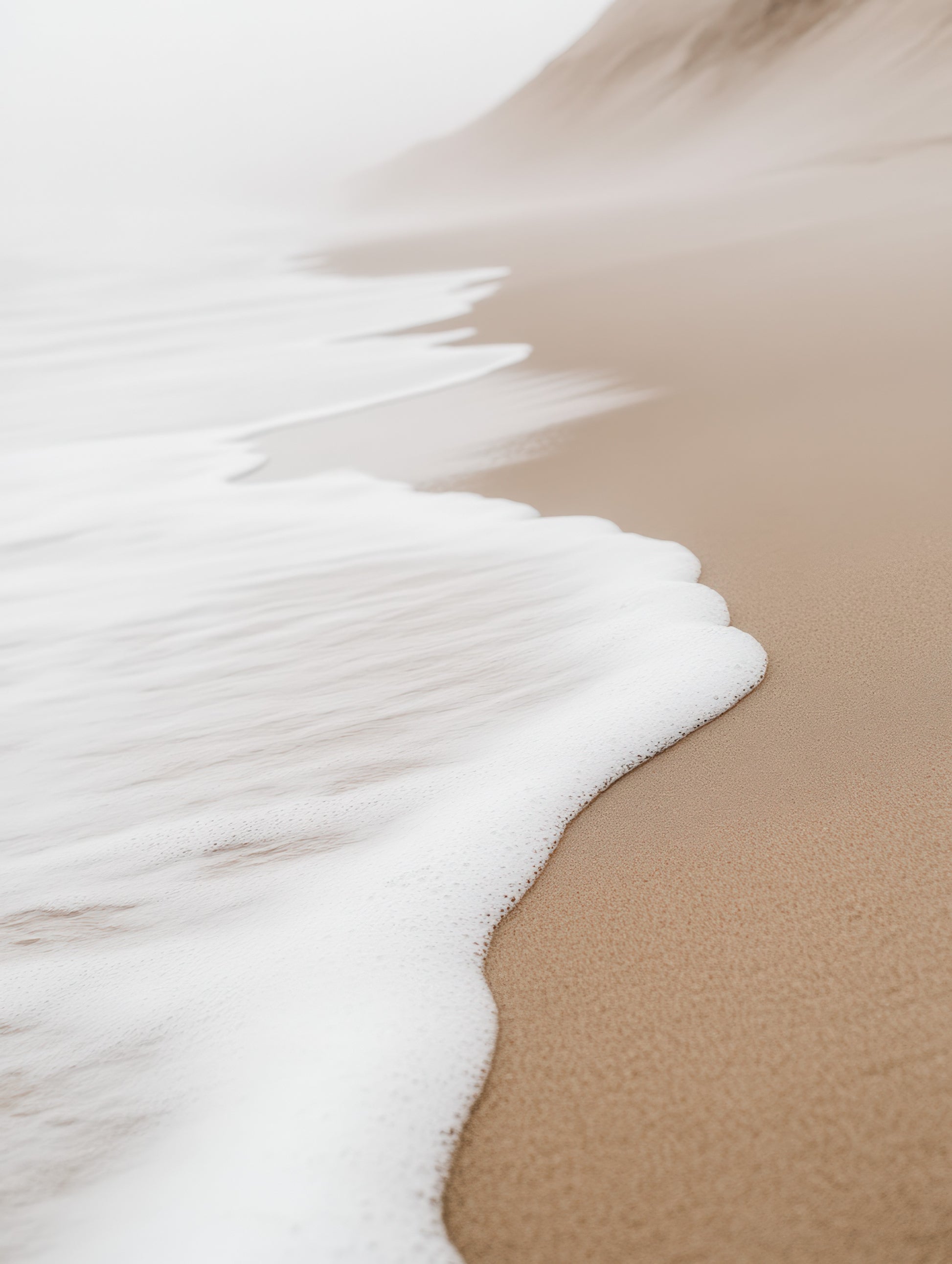 Visual Feast of Nature