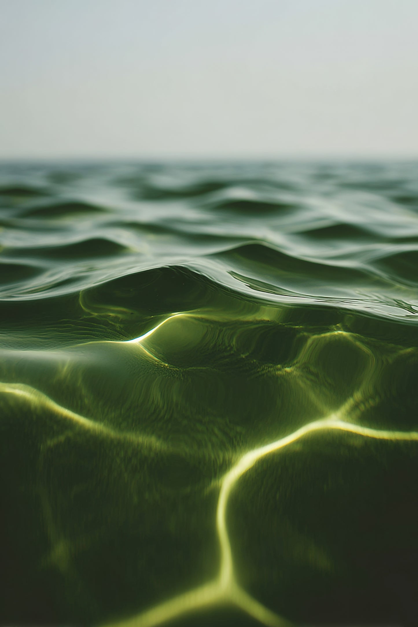 Visual Feast of Nature