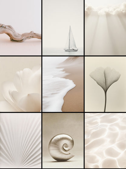 Visual Feast of Nature