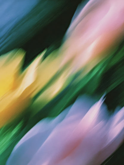 Visual Feast of Nature