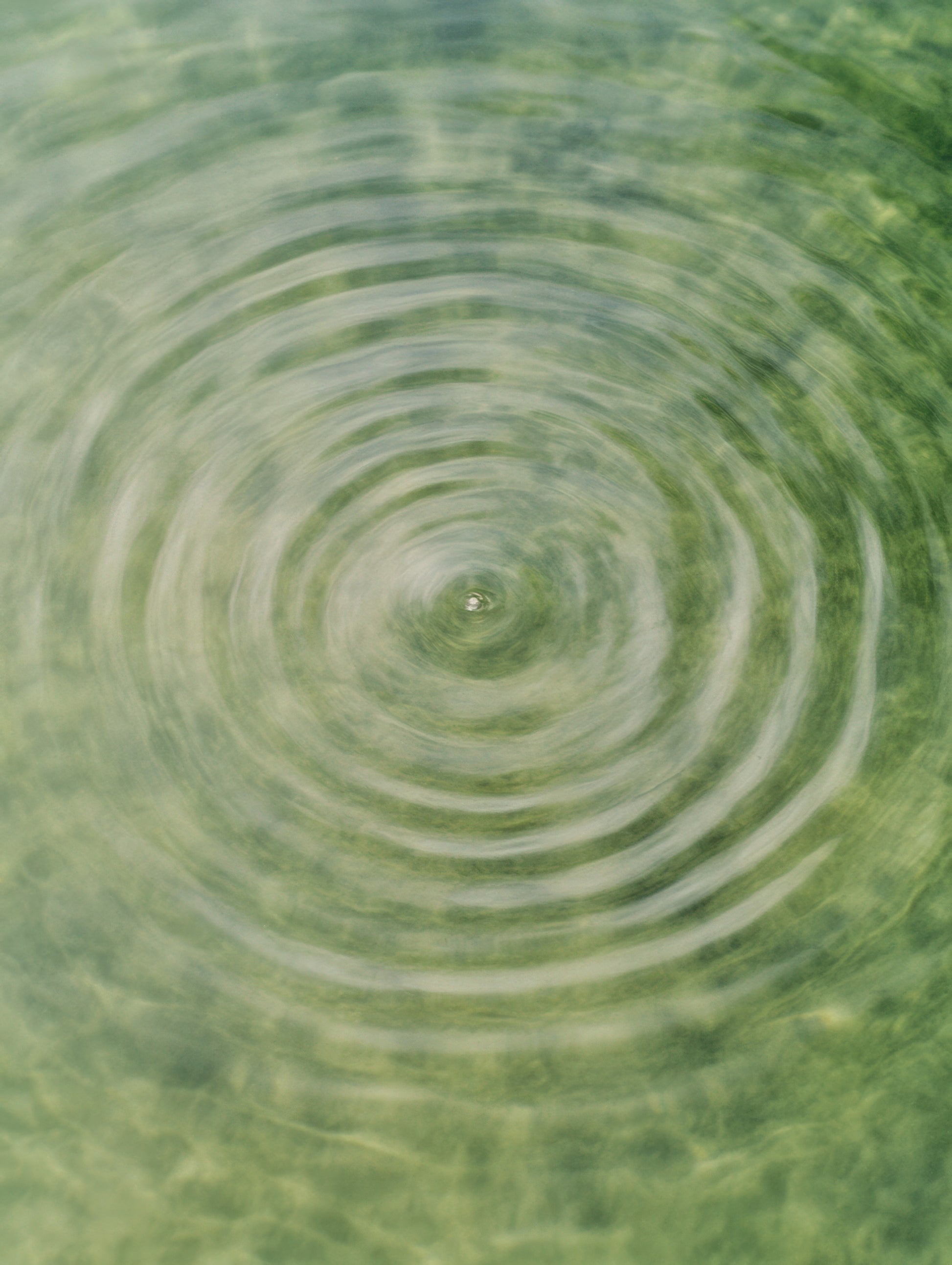 Visual Feast of Nature